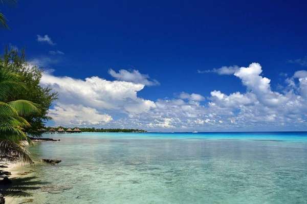 Plongée dans le grand lagon bleu de Rangiroa, atoll des Tuamotu